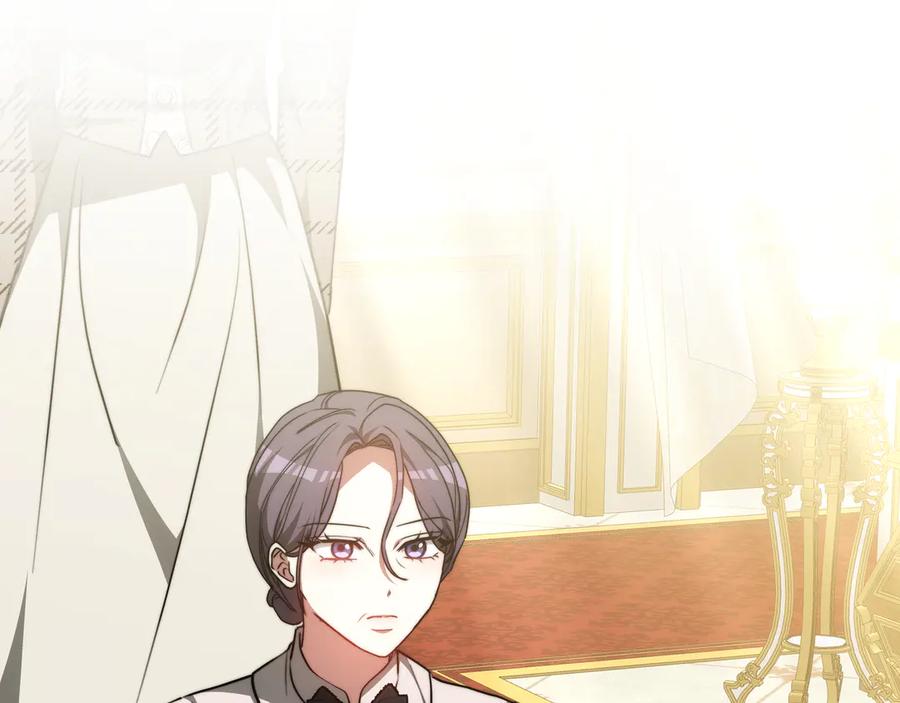 第242页
