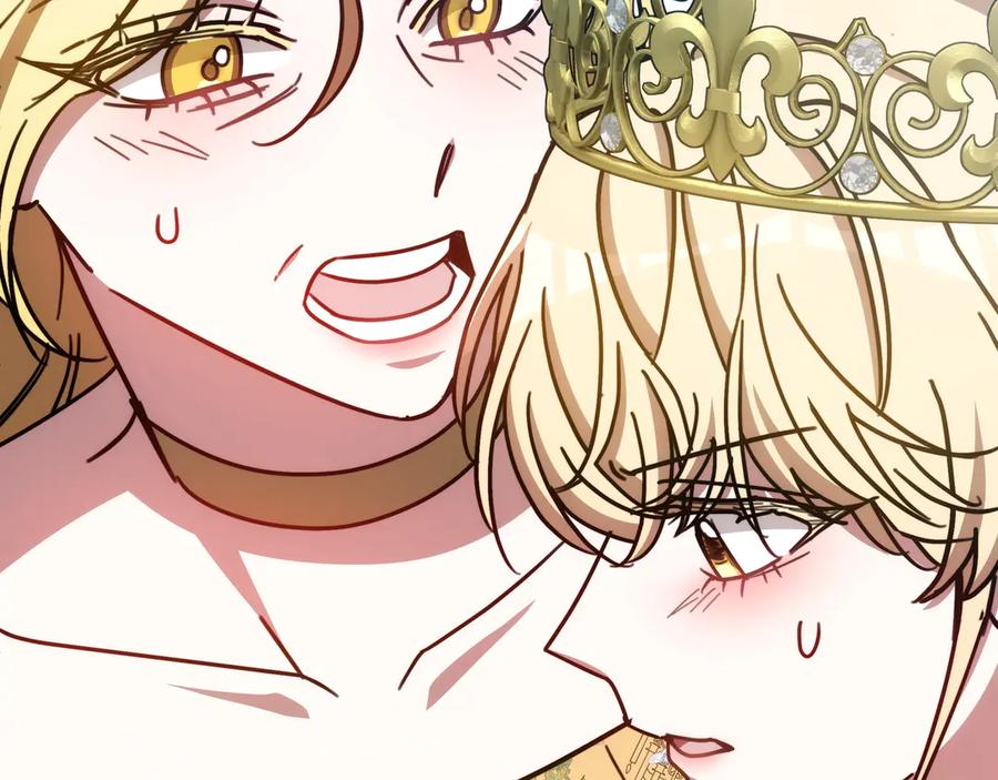 第256页
