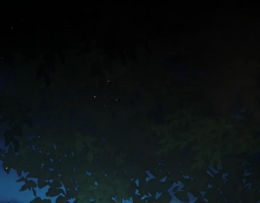 第216页