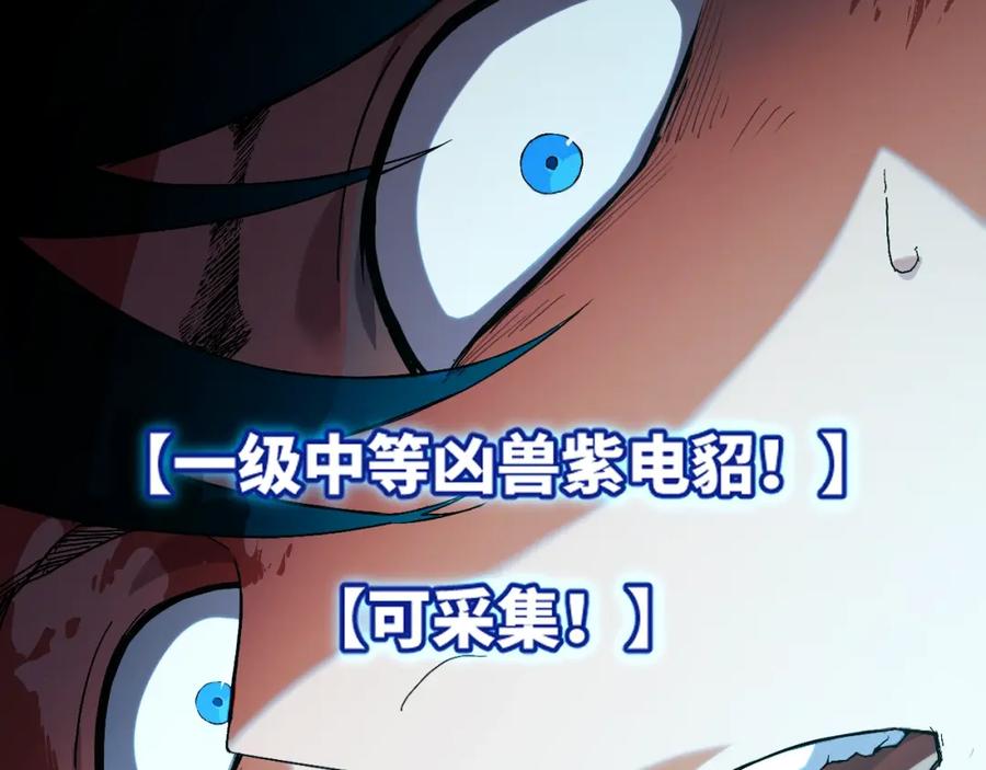 第251页