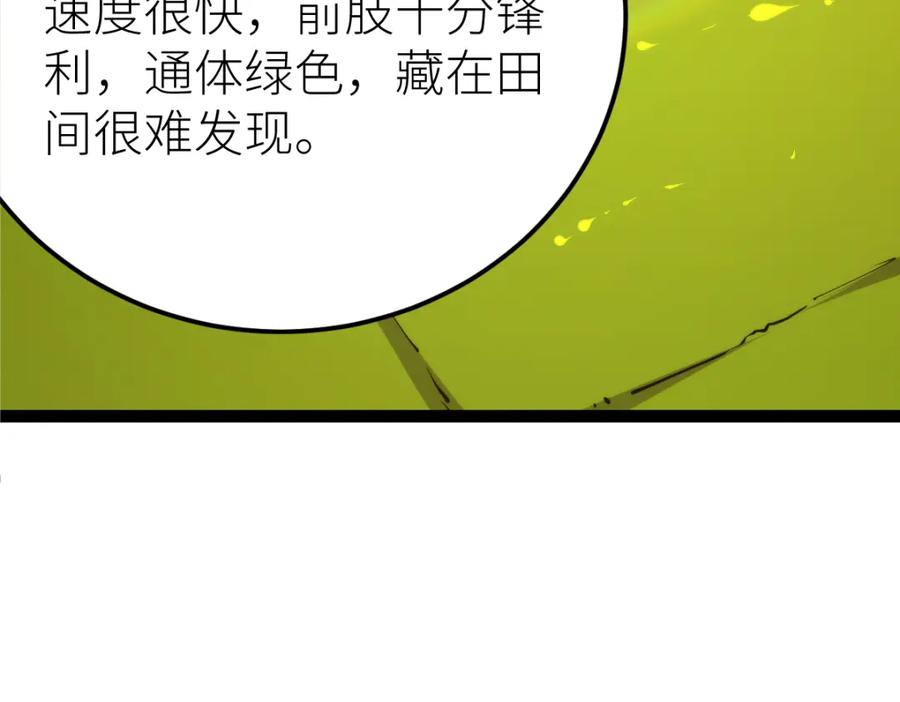 第247页