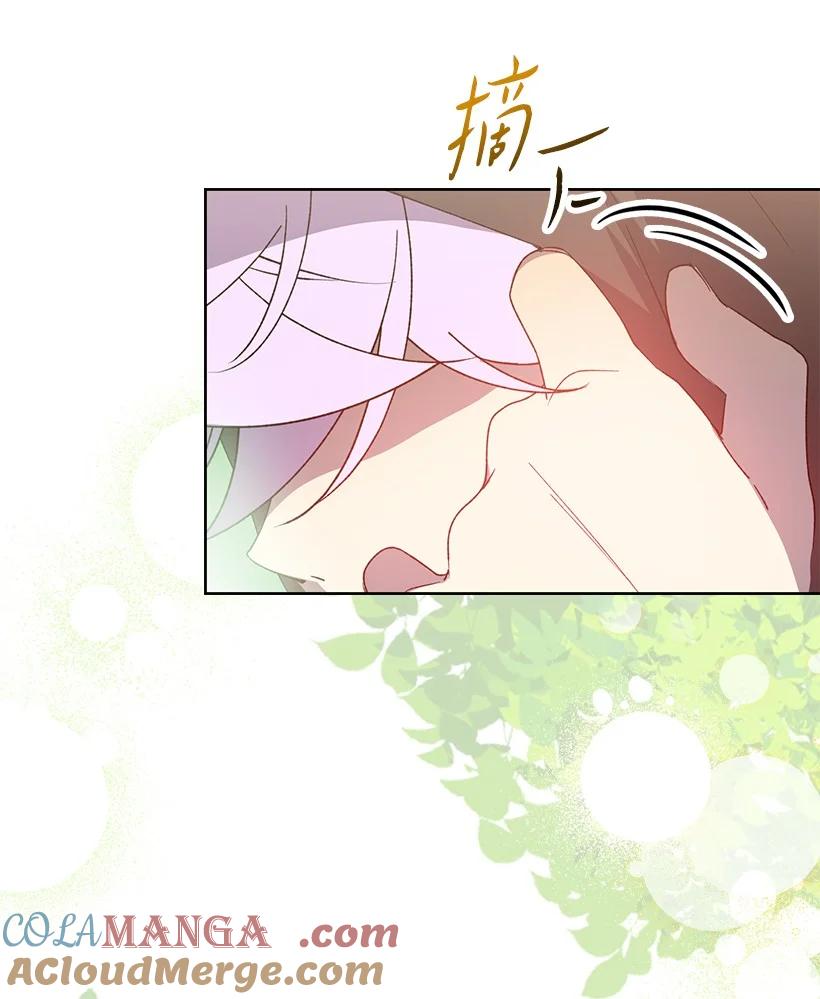 第219页