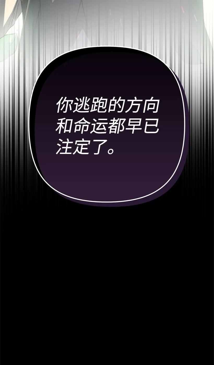 第225页