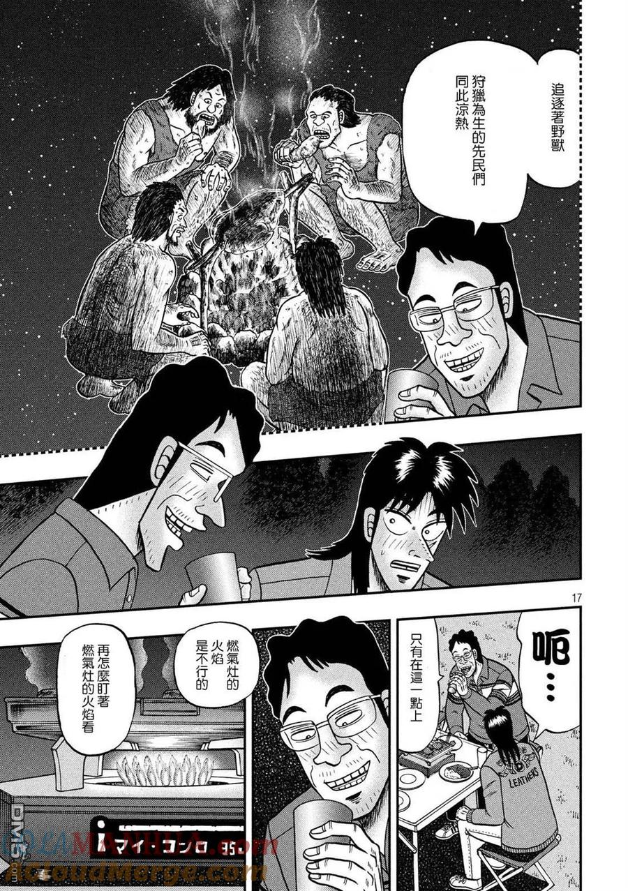 第17页