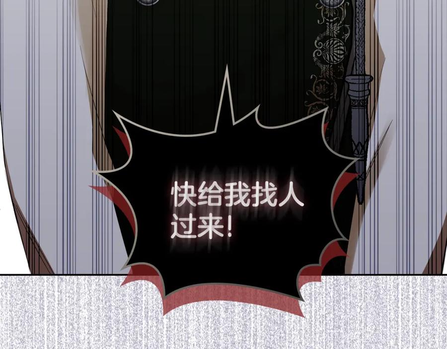 第223页