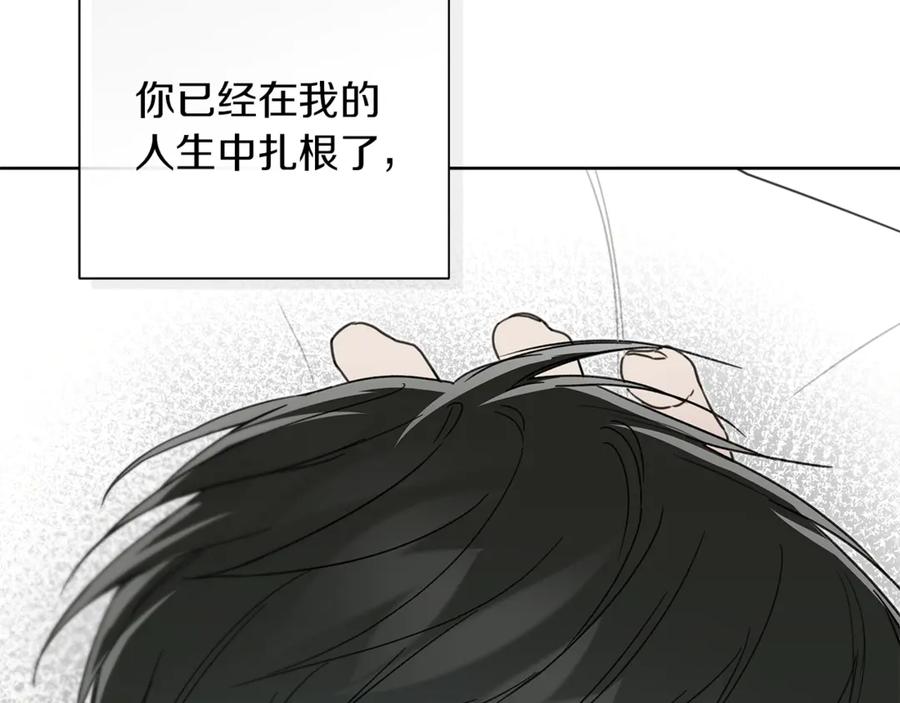 第223页