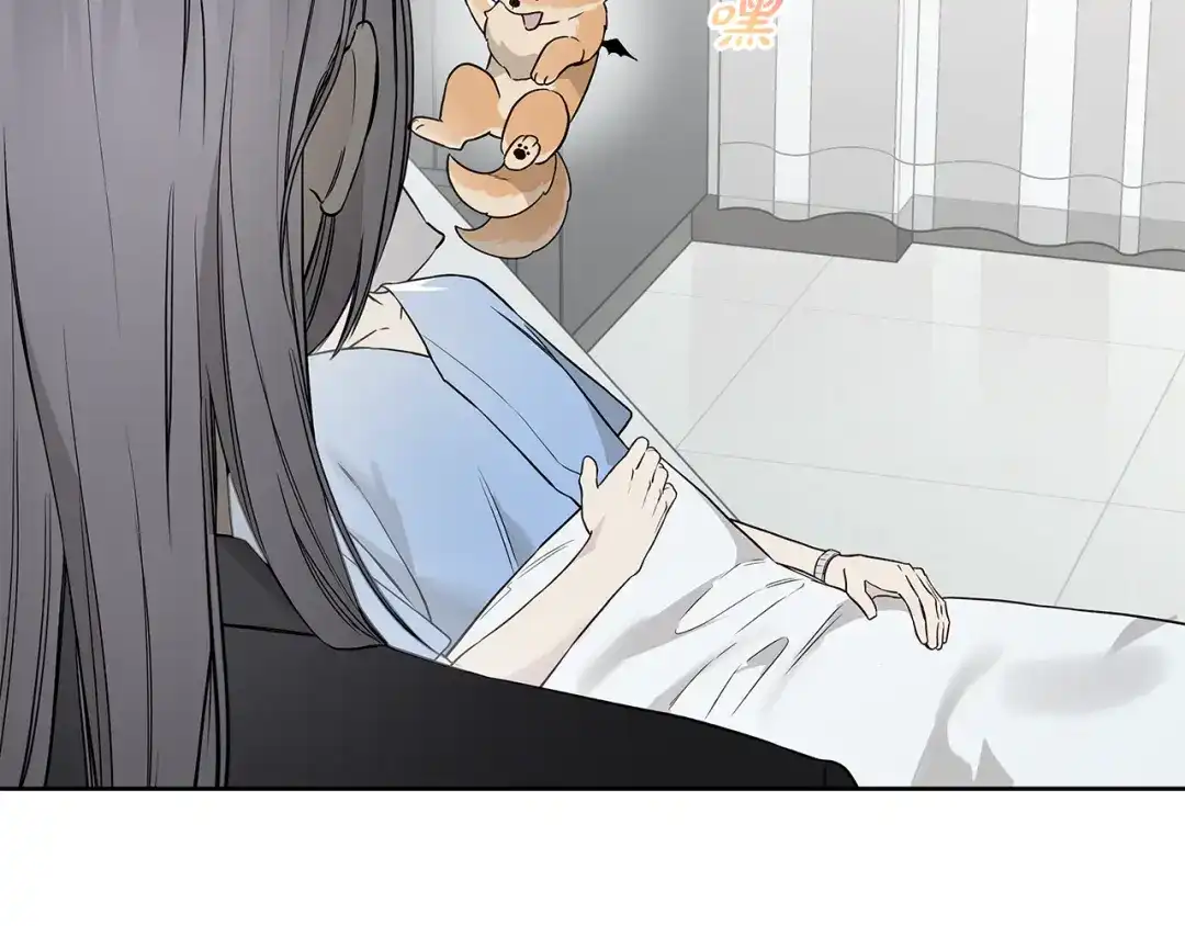 第169页