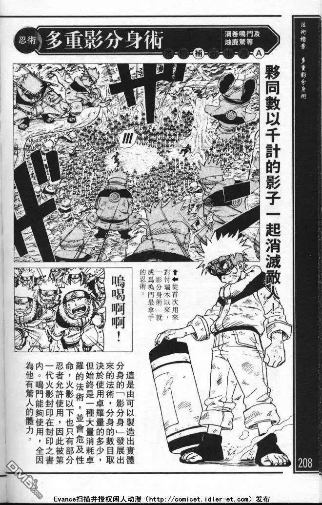 第204页