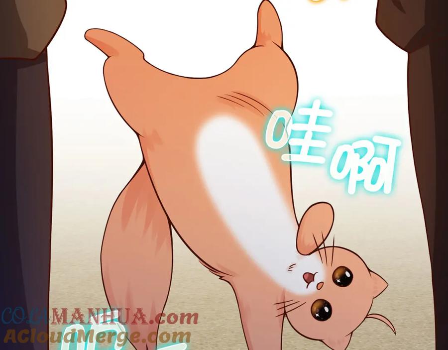 第225页