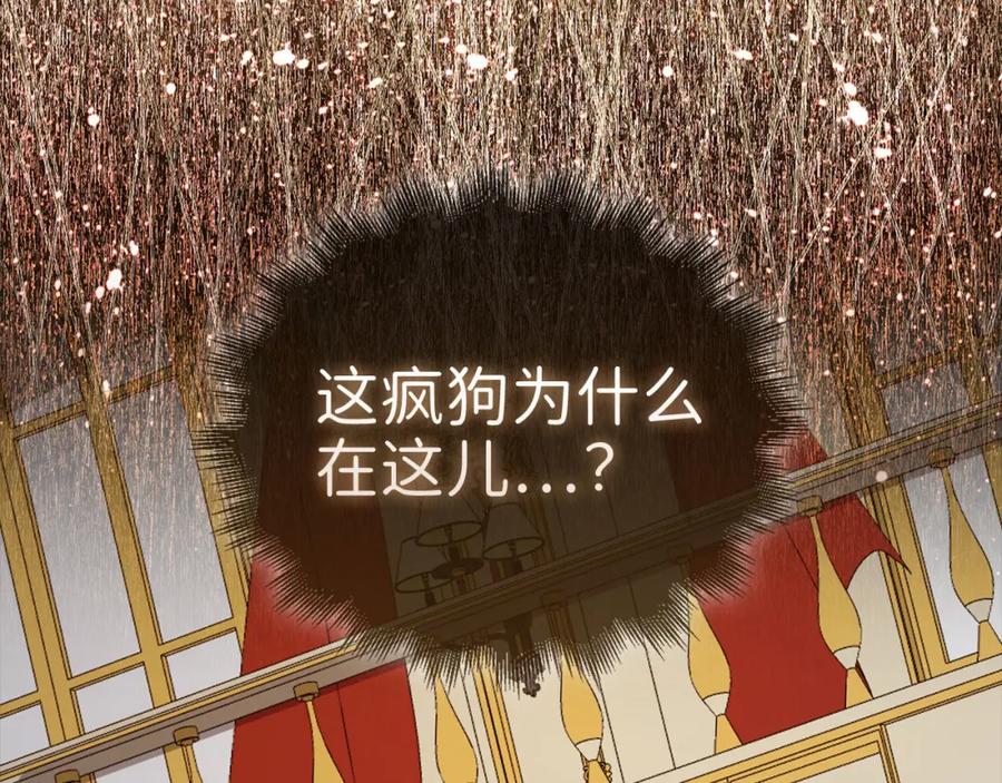 第228页