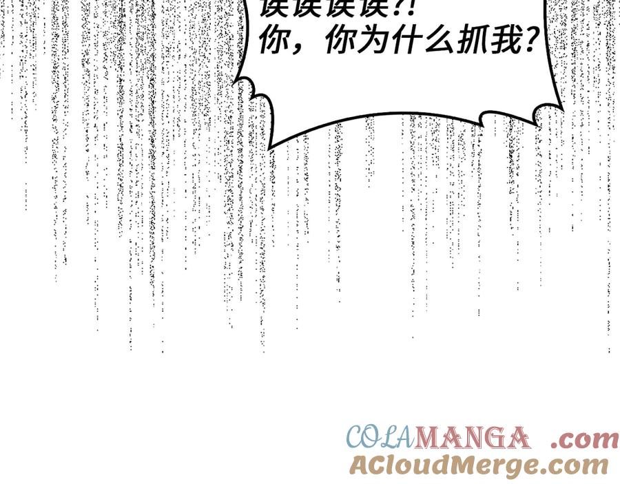第229页