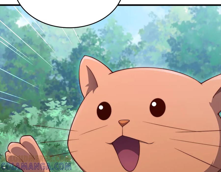 第205页