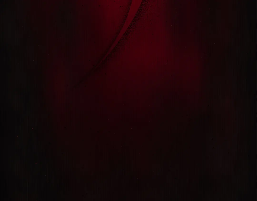 第255页