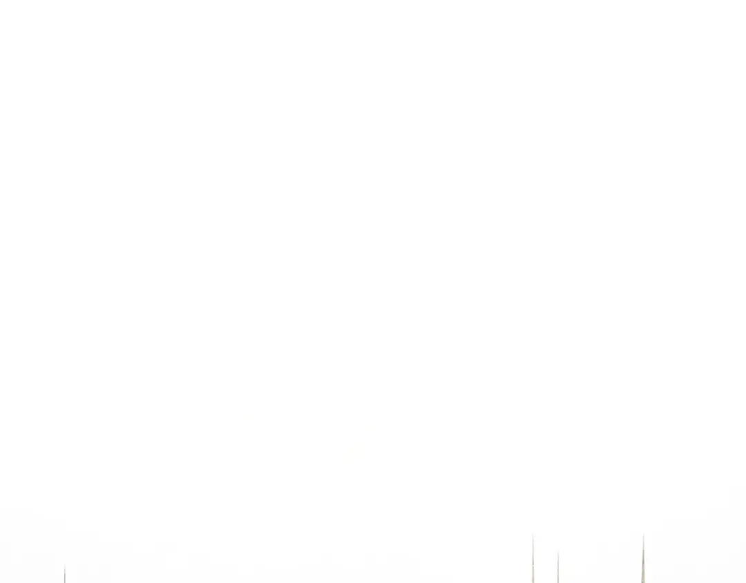 第185页