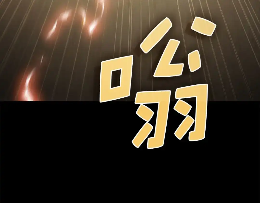 第217页