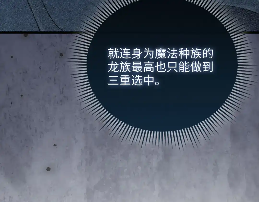 第223页