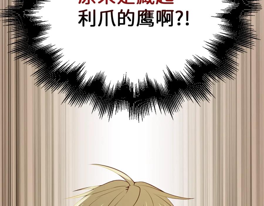 第215页