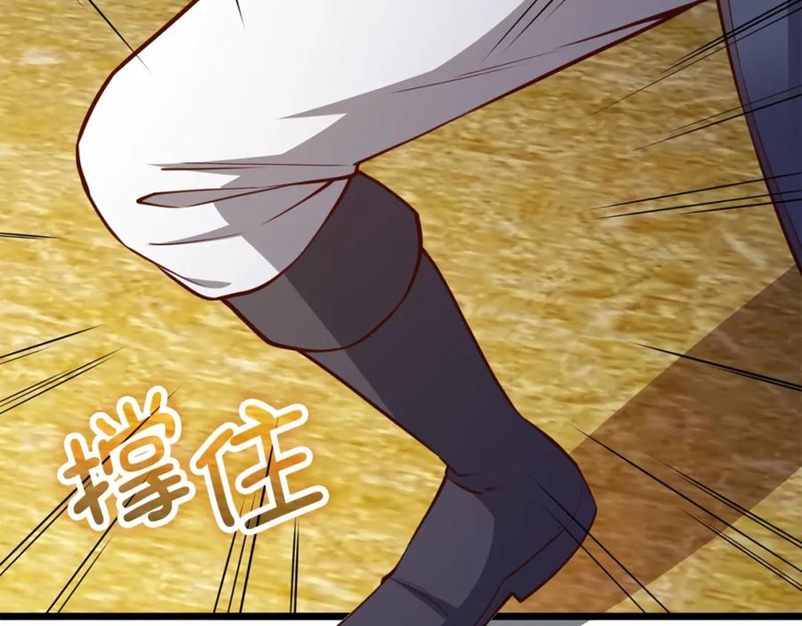 第223页