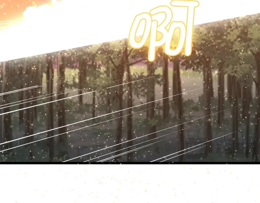第247页