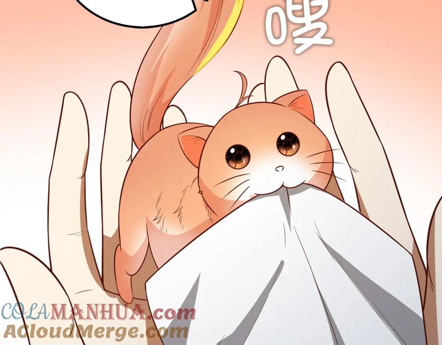 第237页