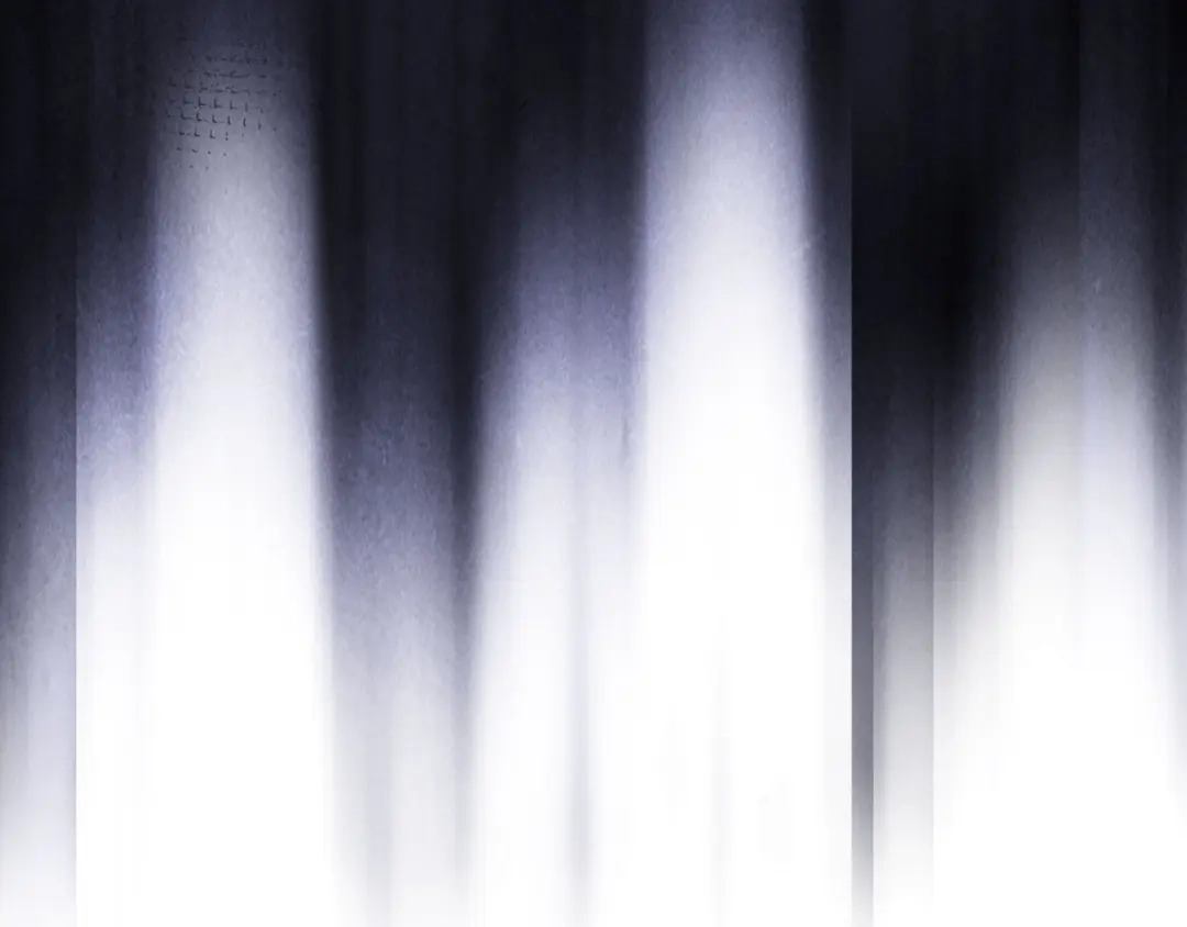 第204页
