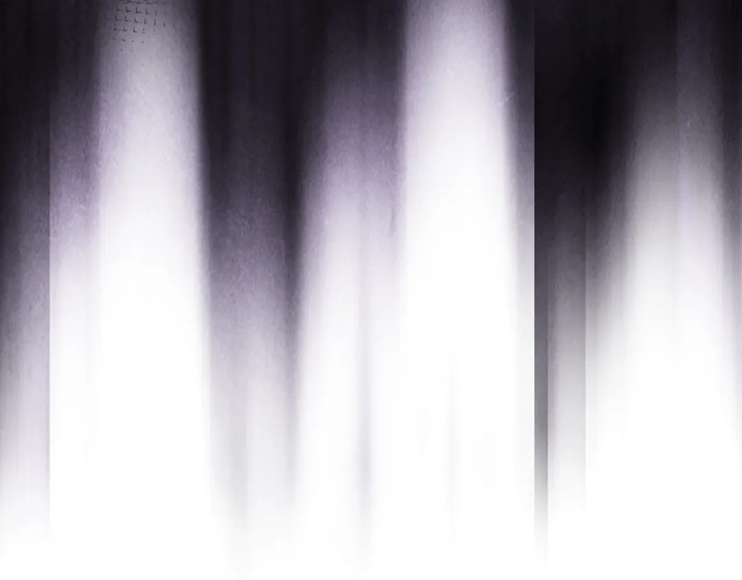第221页