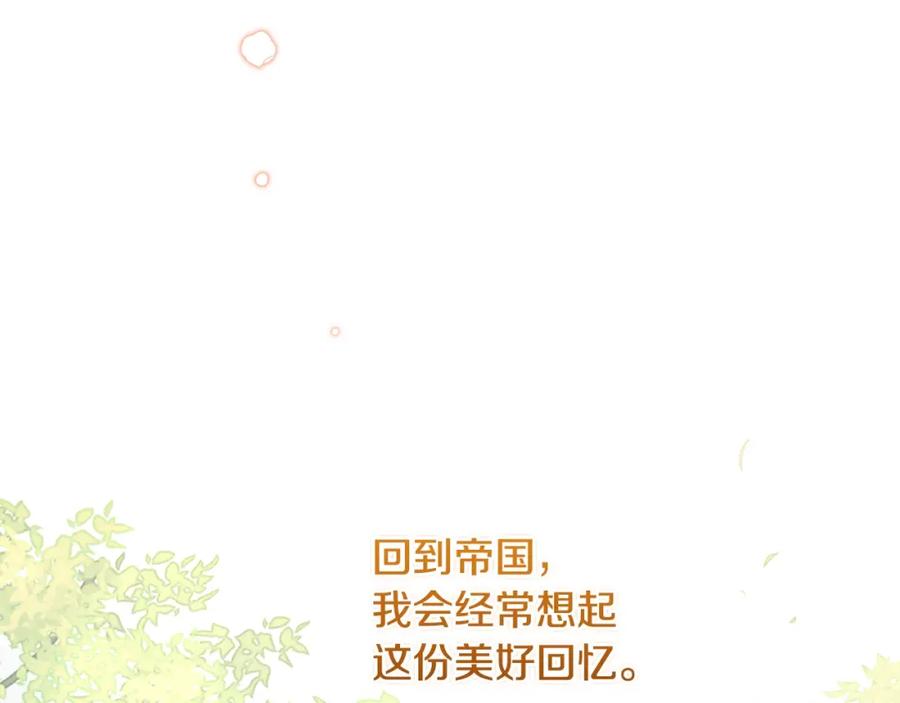 第255页