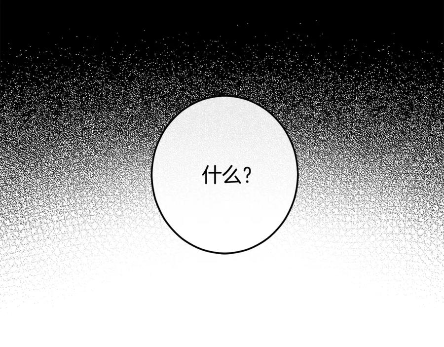 第263页