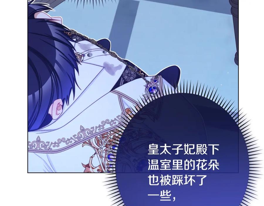 第245页