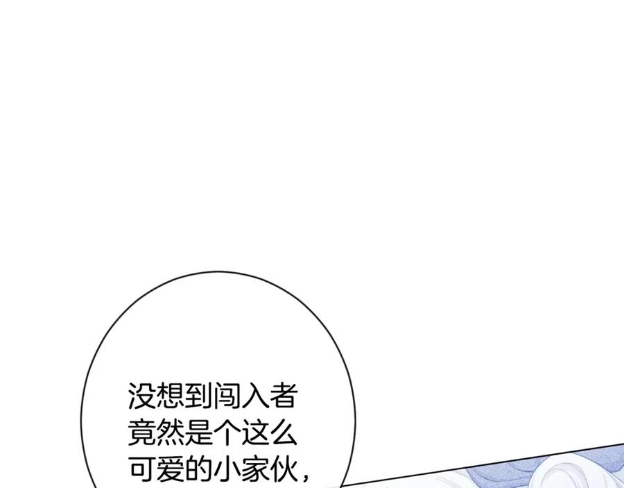 第251页