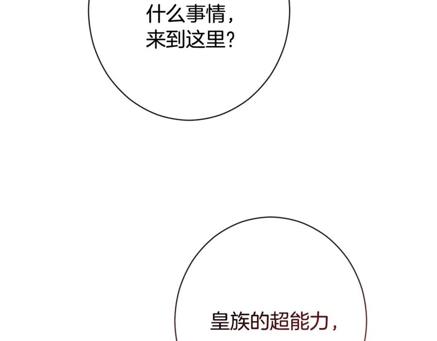 第429页