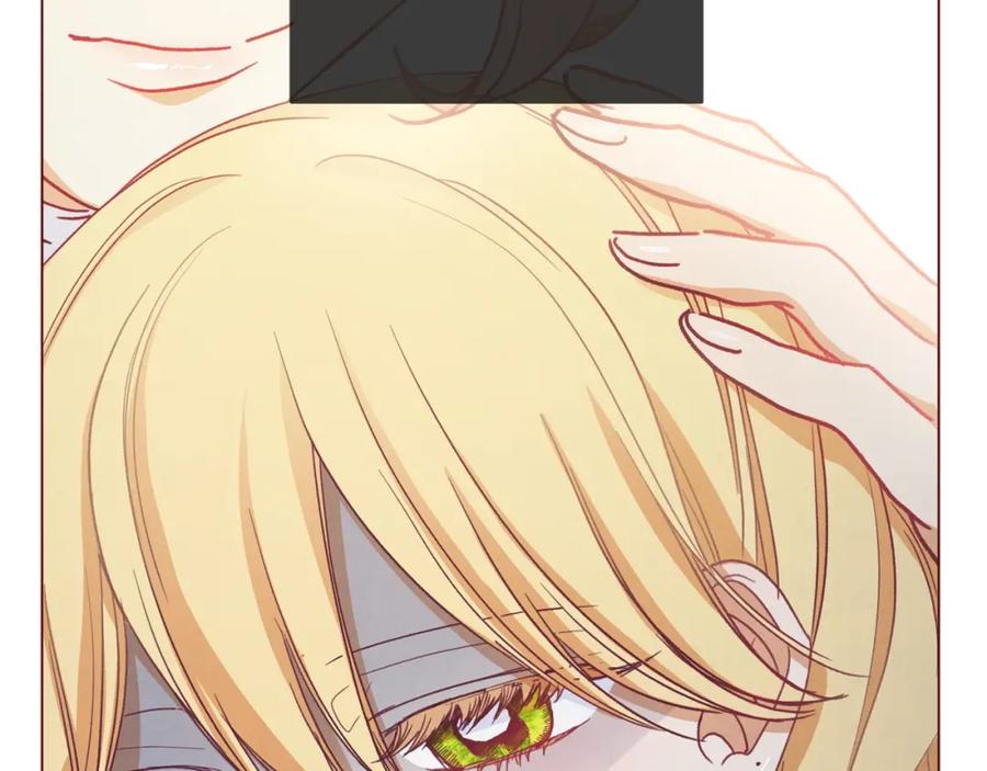 第223页