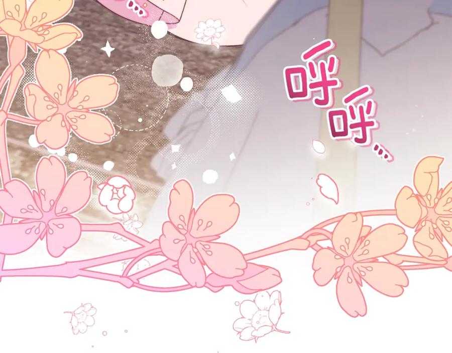 第219页