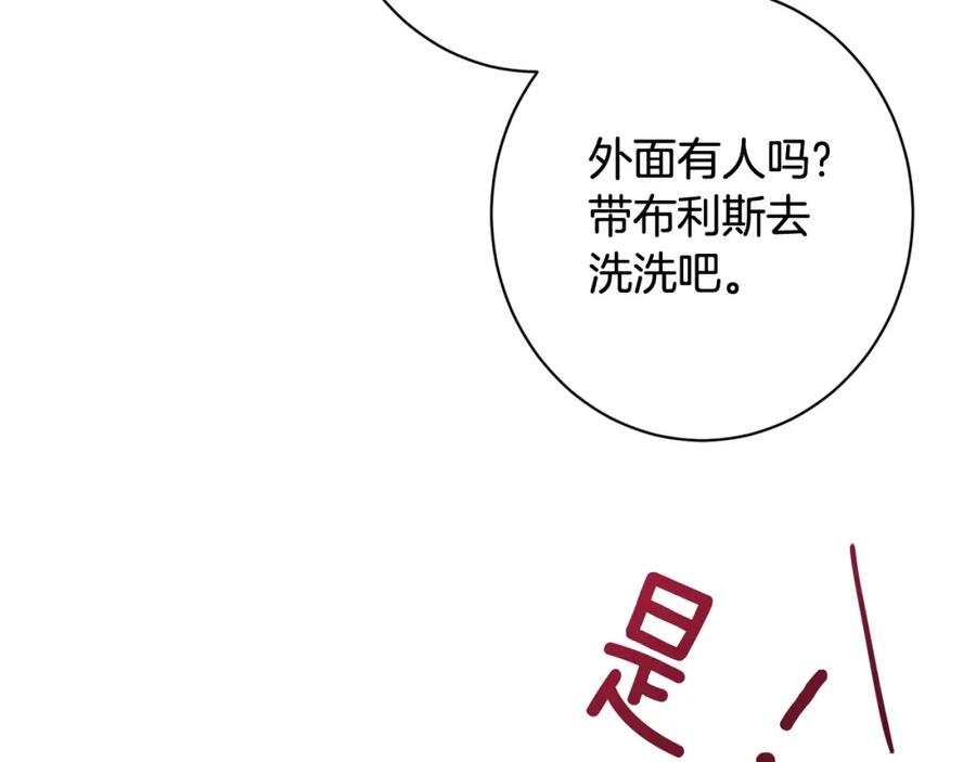 第253页