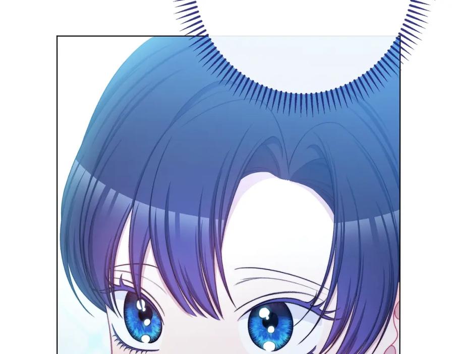 第243页