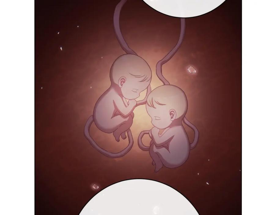 第251页