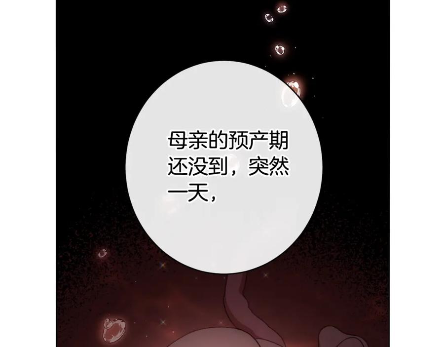 第255页