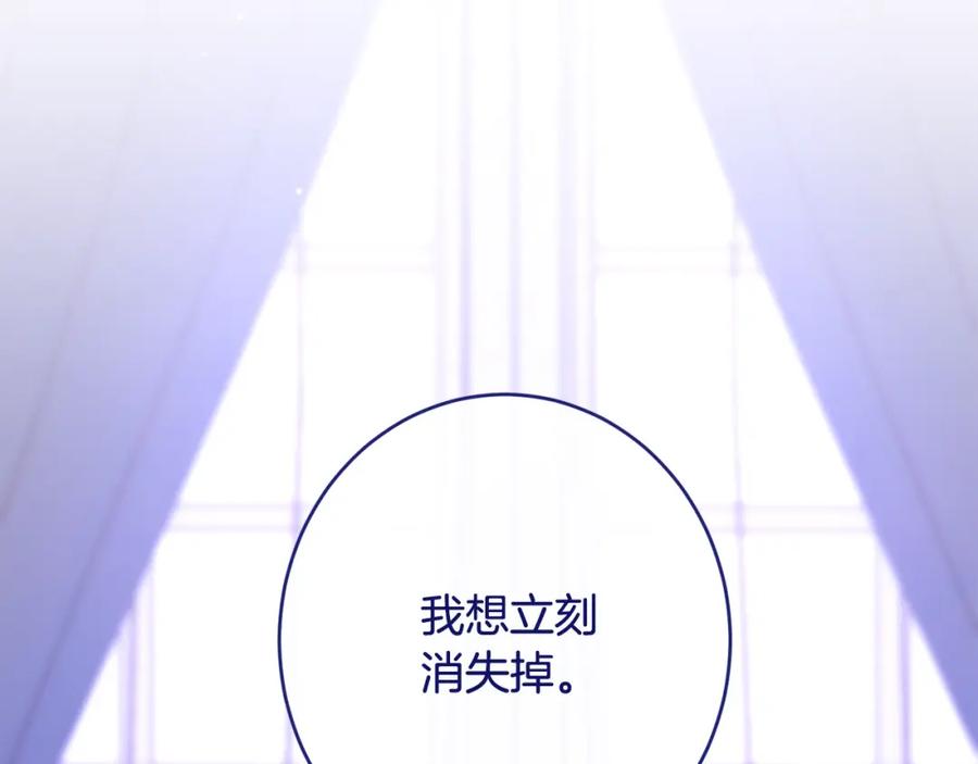 第511页