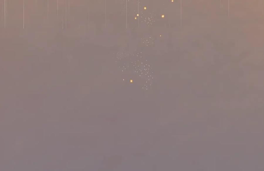 第511页
