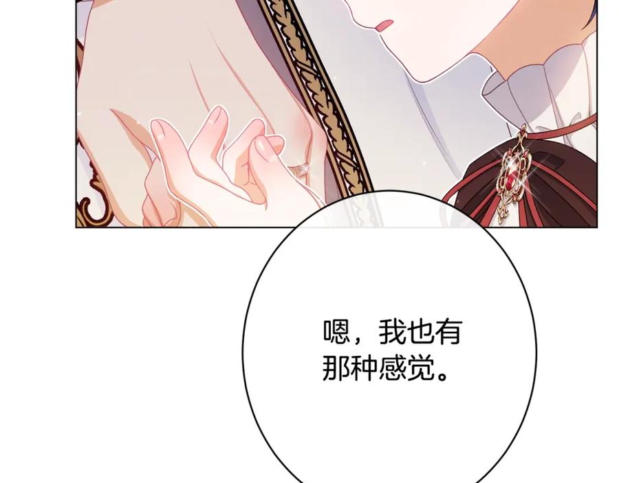 第231页