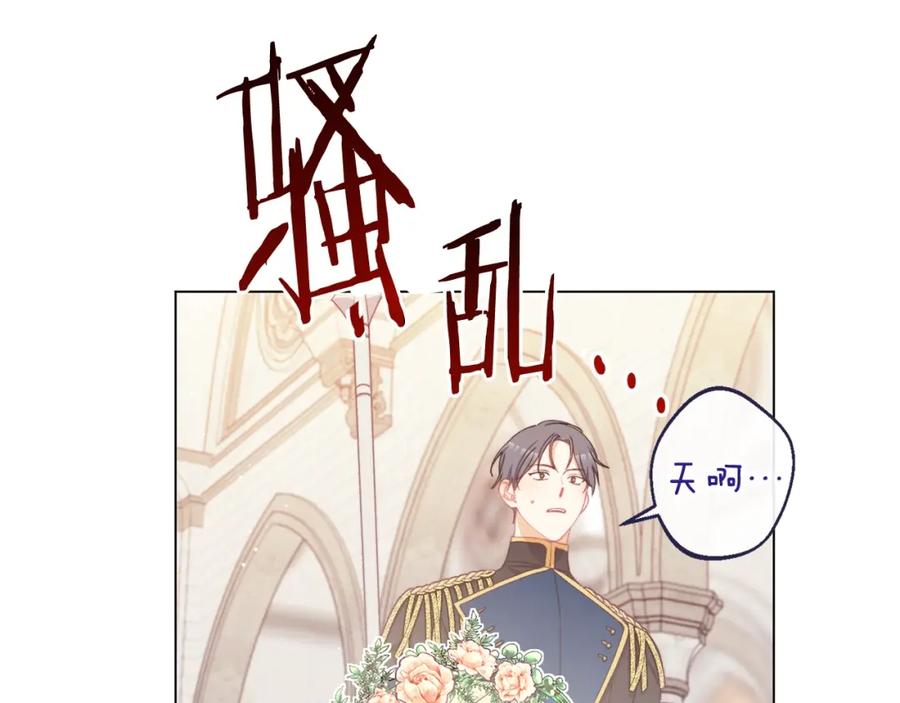 第259页