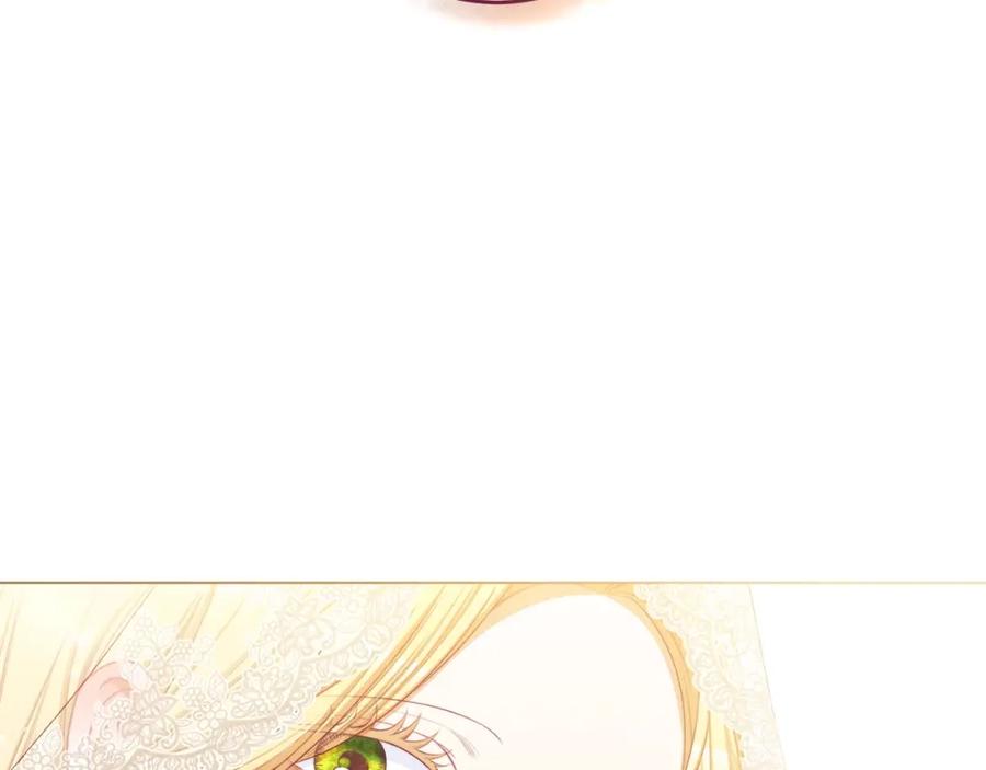 第365页