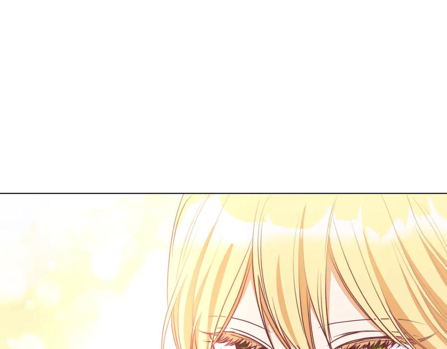 第224页