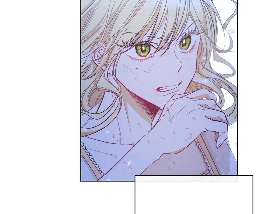 第223页