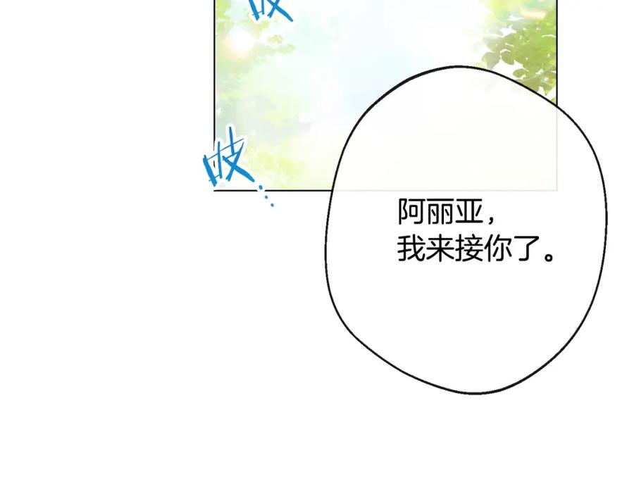 第219页