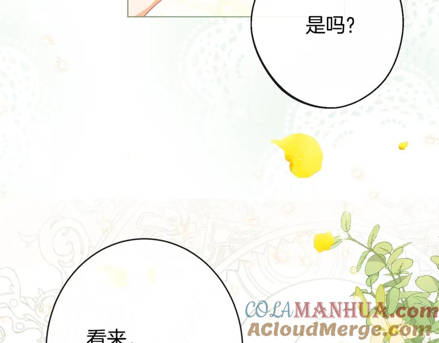 第225页