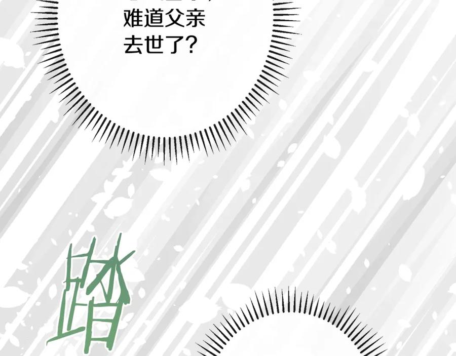 第215页