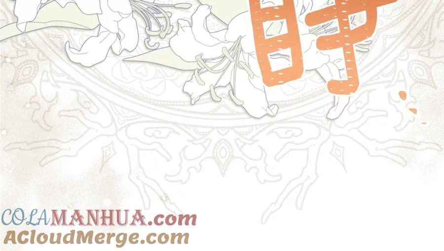 第221页