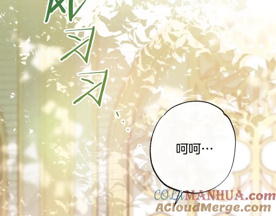 第233页