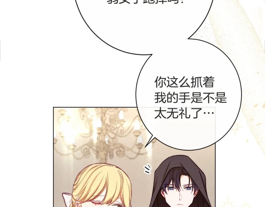 第223页